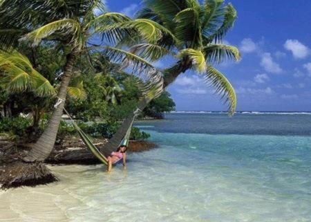 Axios Sun Apartments Caye Caulker Bagian luar foto