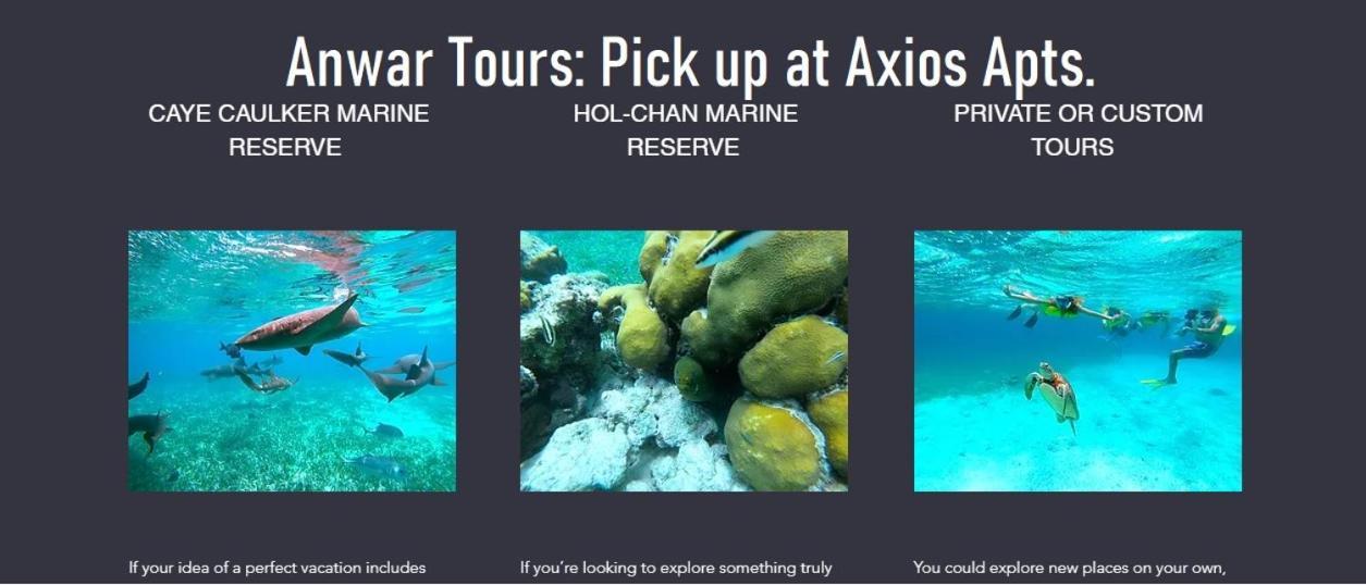 Axios Sun Apartments Caye Caulker Bagian luar foto